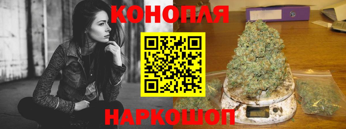 Бошки Шишки план Архангельск